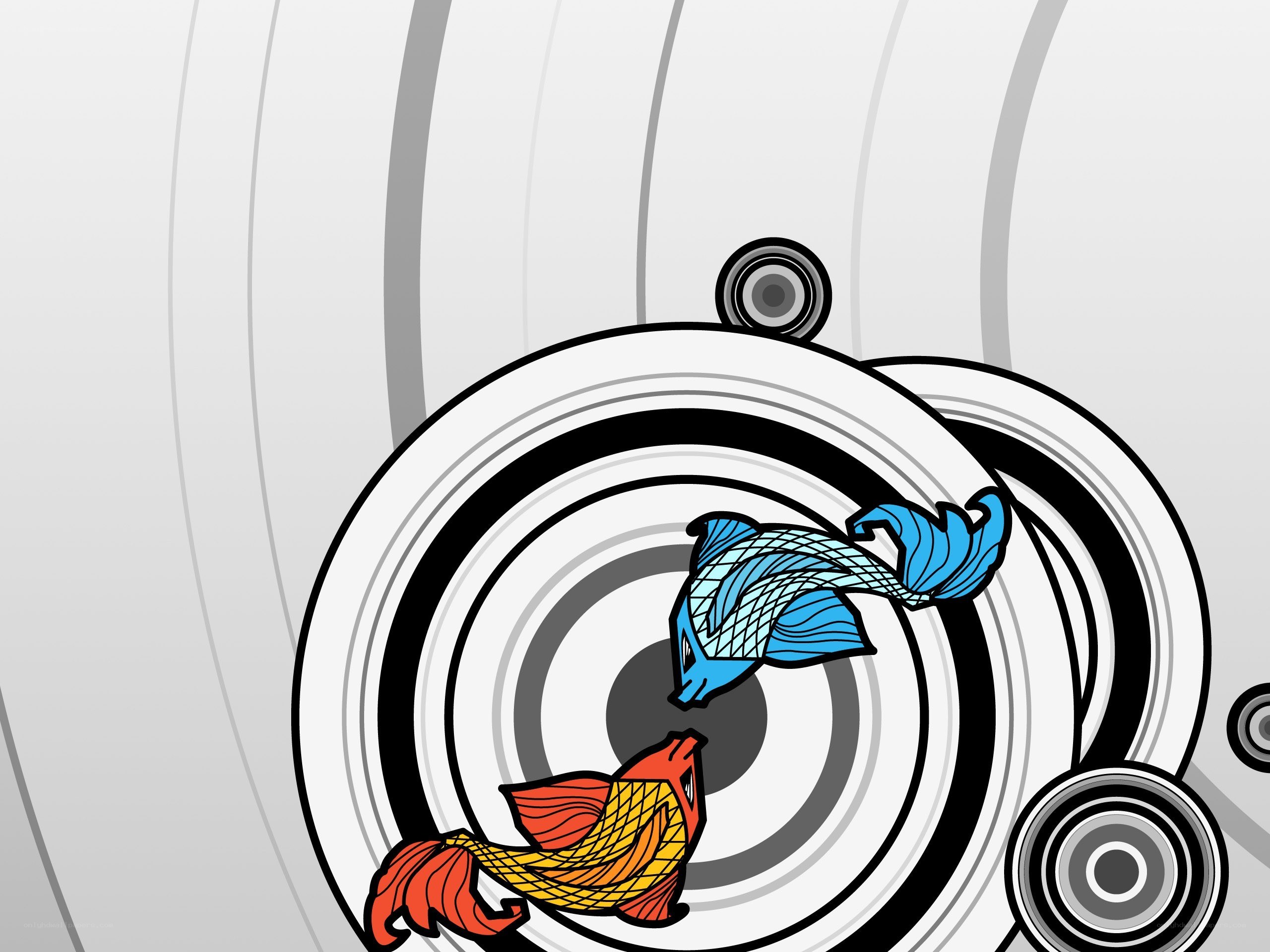 koi fish on target