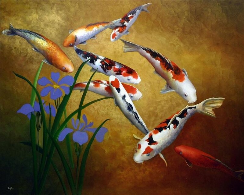Koi Fish Swimming — Gold