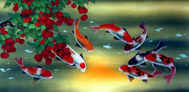 Koi Fish Swimming — Red, Serene