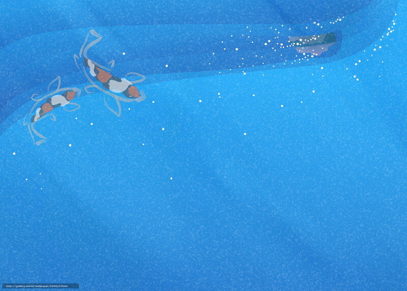 Koi fish swimming underwater