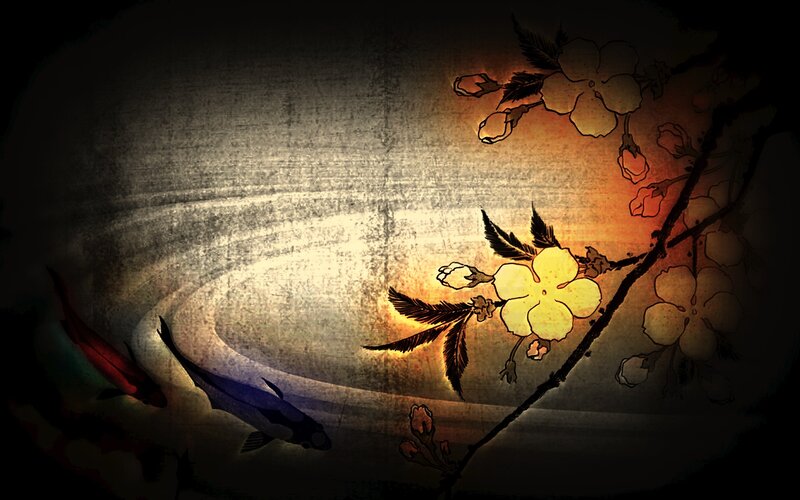 Koi Fish under Cherry Blossoms
