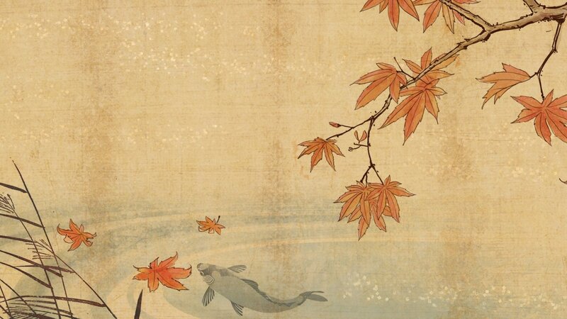 Koi Fish under Maple Leaves