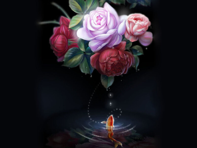 Koi Fish under Roses