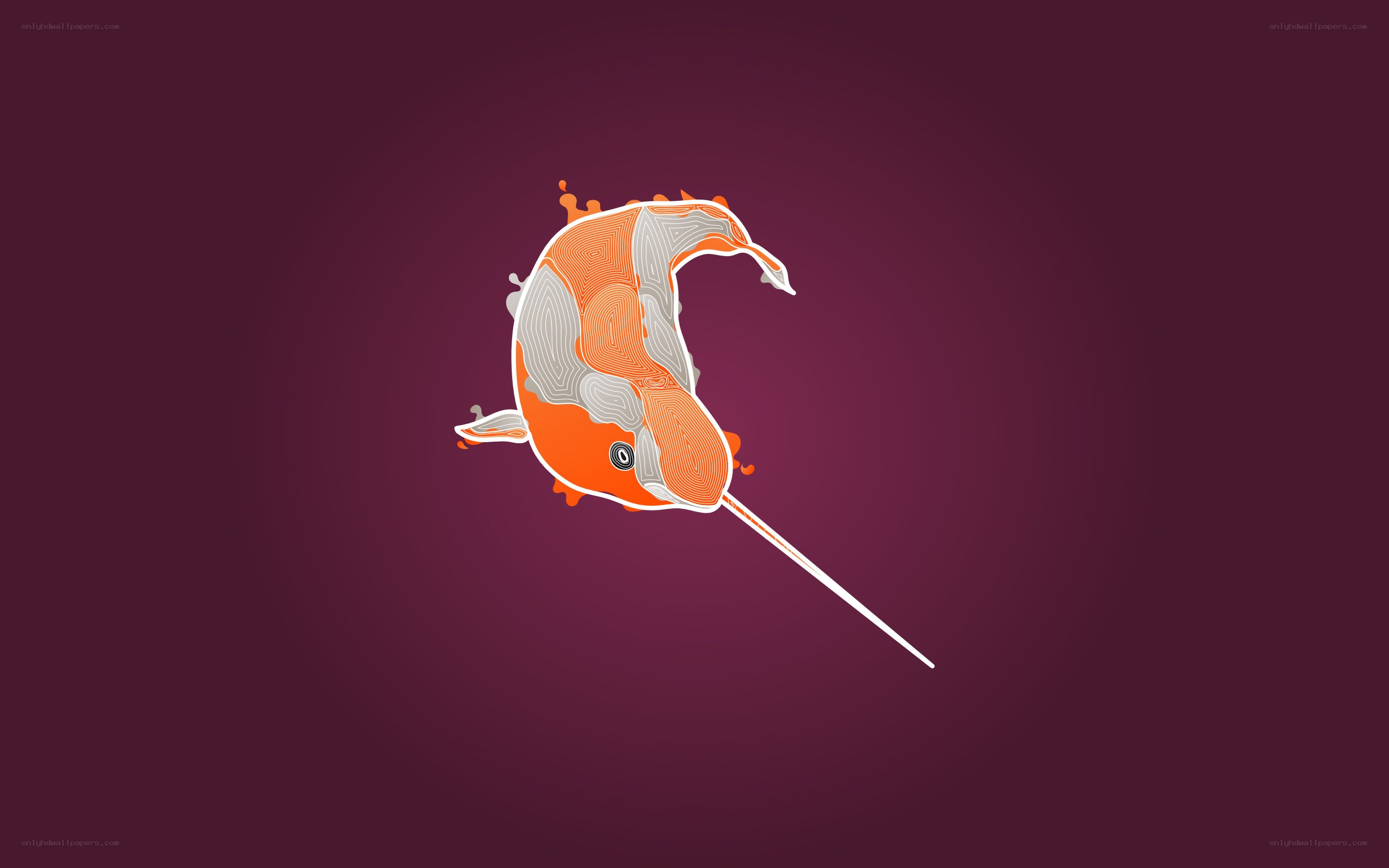 koi fish with long horn