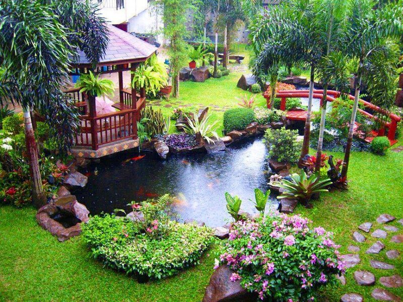 Koi Pond Garden
