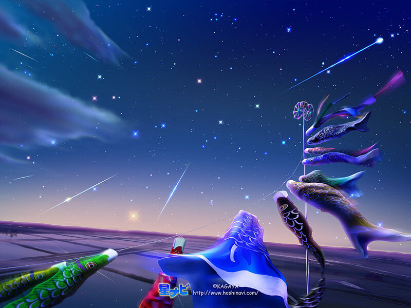 Koinobori under a starry sky