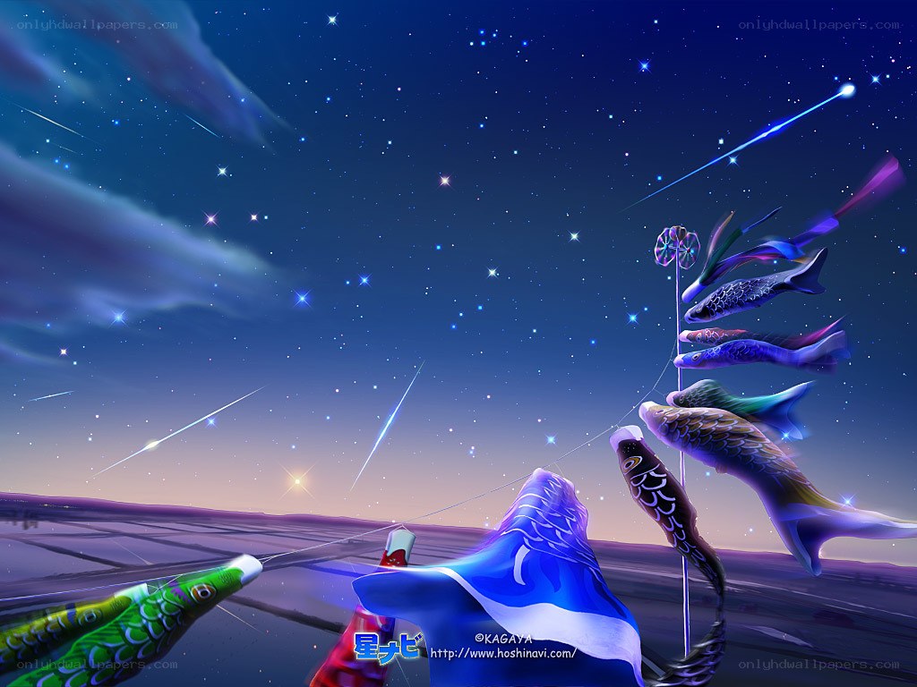 Koinobori under a starry sky