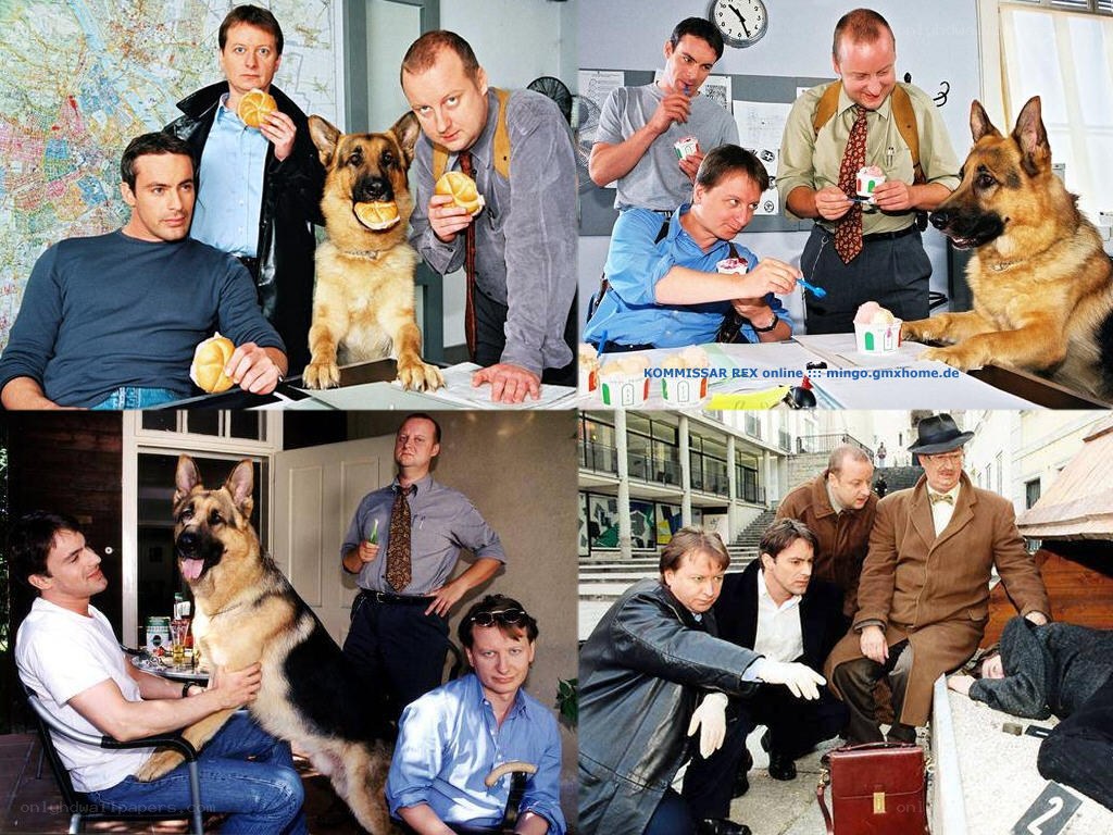 Kommissar Rex collage