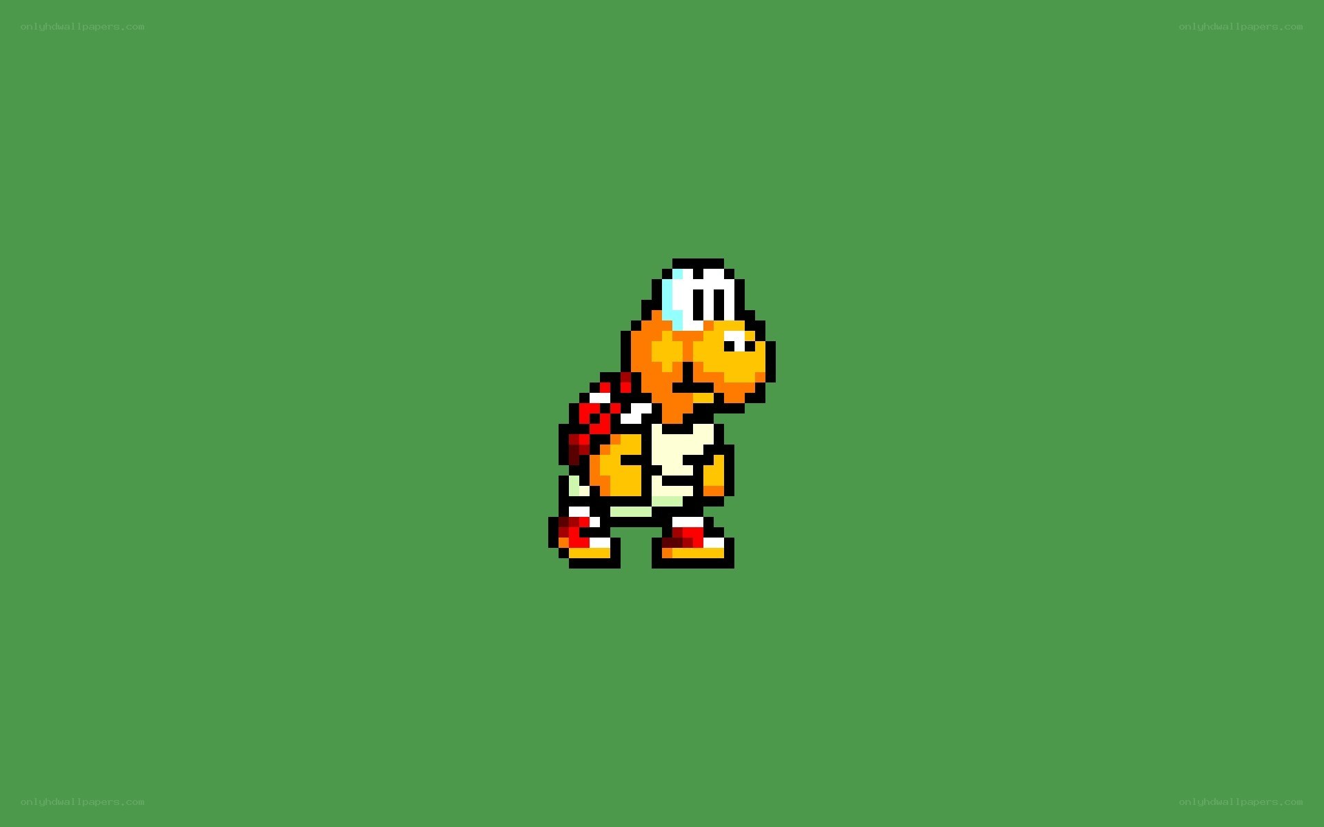 Koopa Troopa character