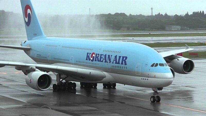 Korean Air Airplane — Blue, Overcast