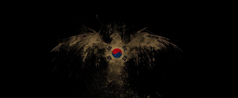 Korean flag eagle design