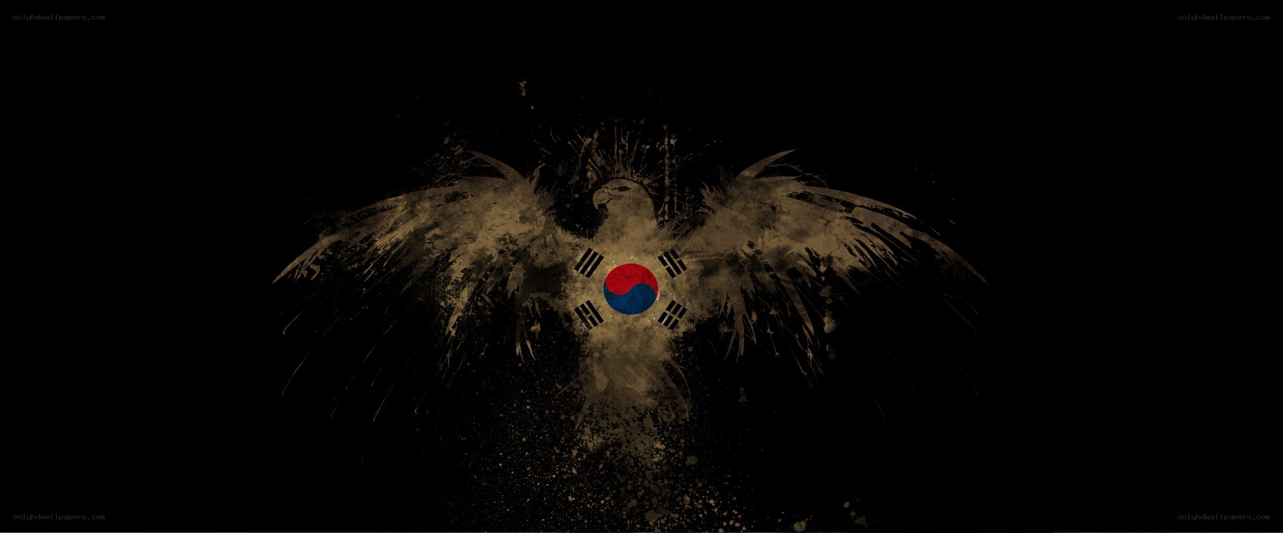 Korean flag eagle design