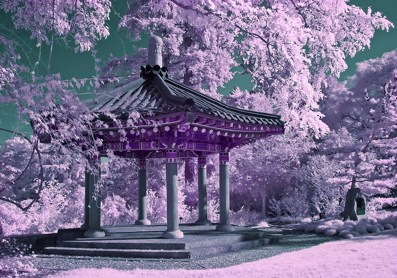 Korean Pavilion in Garden