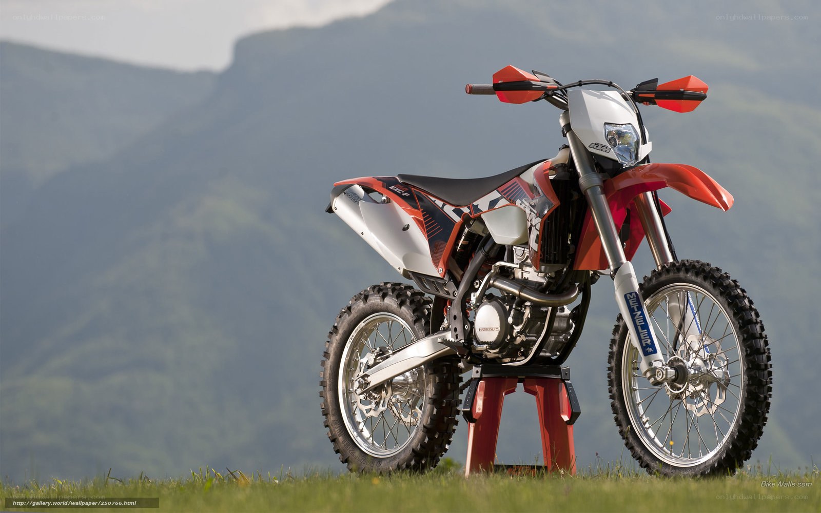 KTM dirt bike on grass