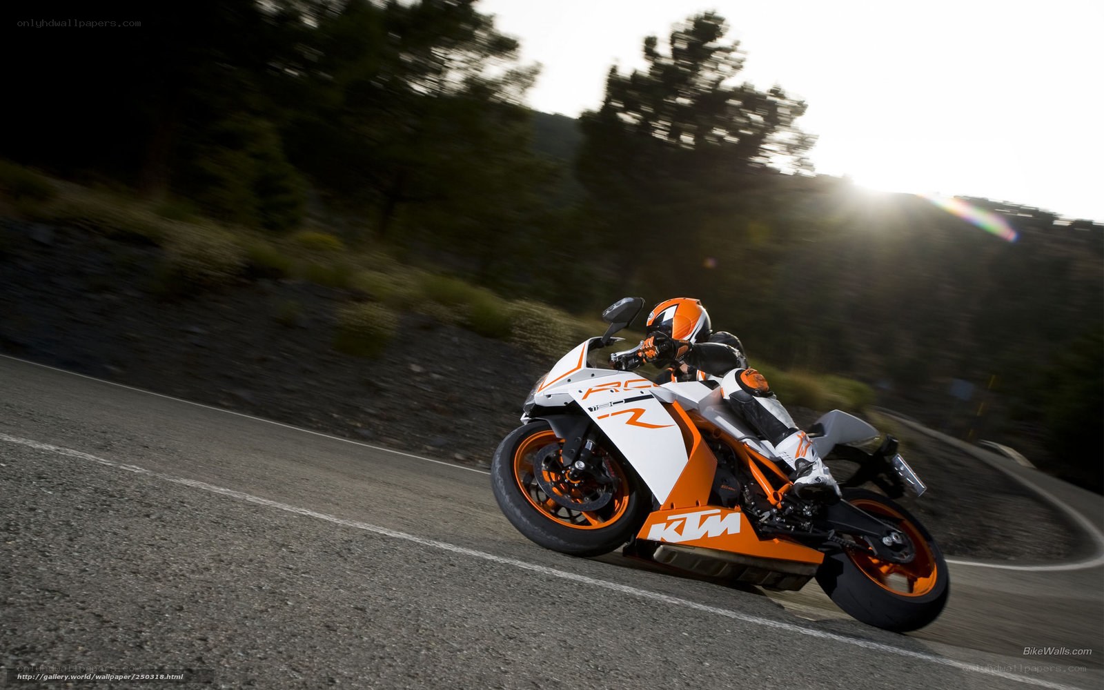 KTM motorcycle on a winding road