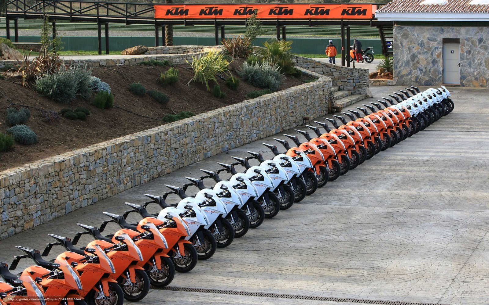 KTM motorcycles in a row