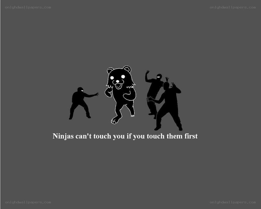 Kuma and ninjas meme