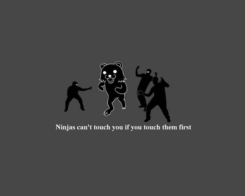Kuma and ninjas