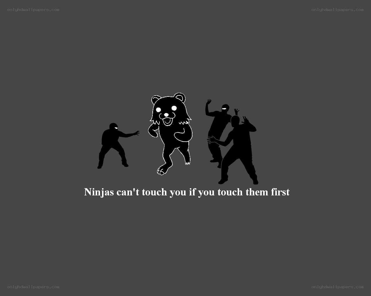 Kuma and ninjas