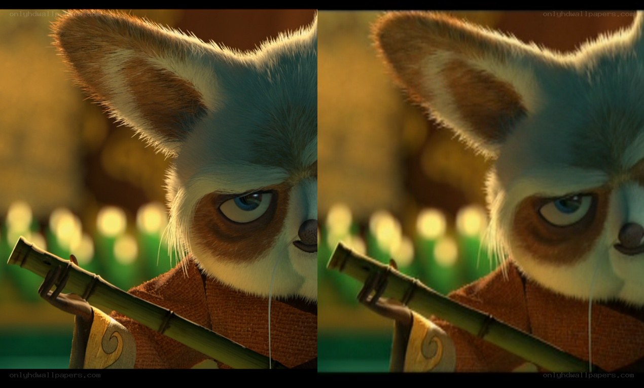 kung fu panda character close-up