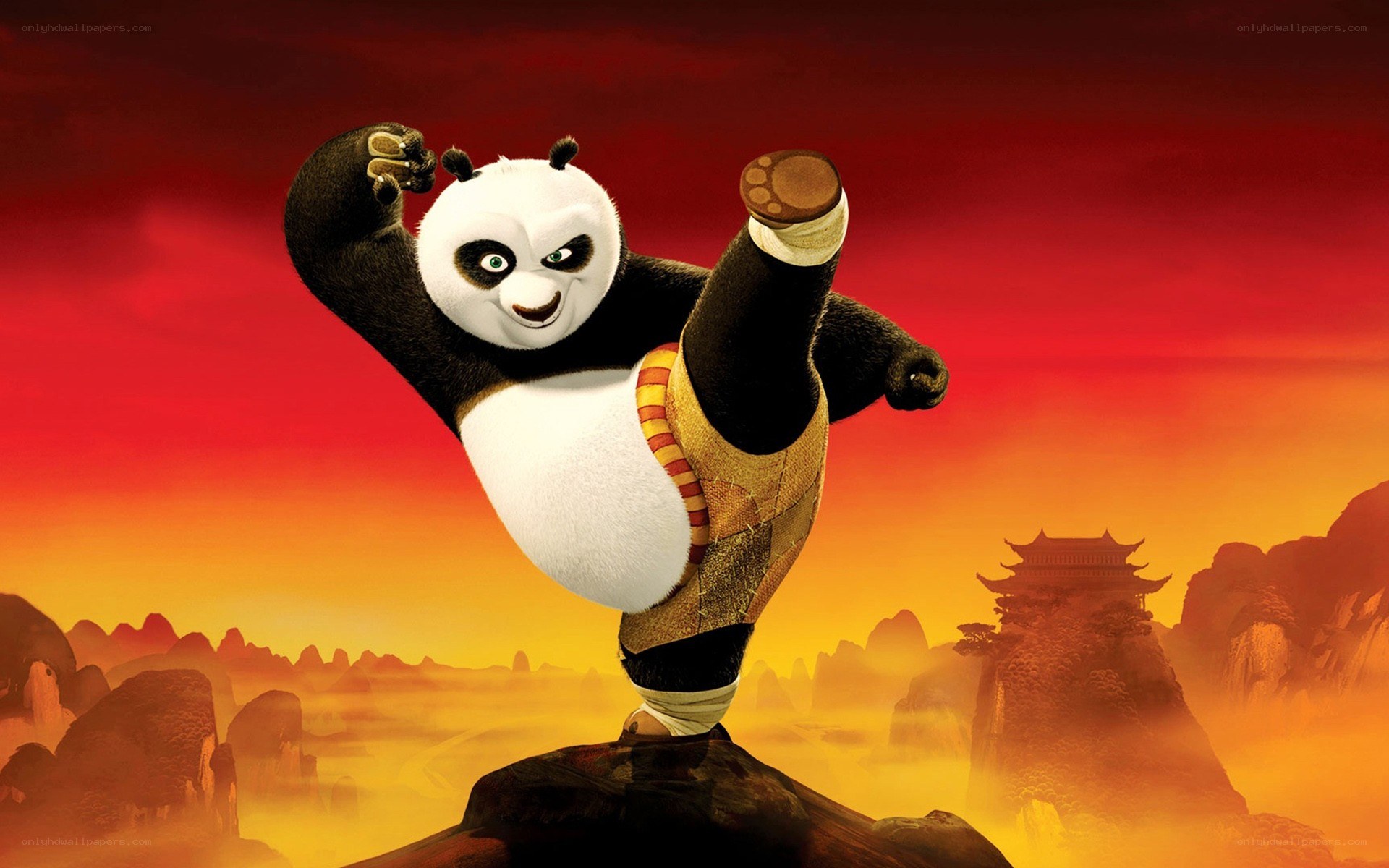 Kung Fu Panda in action