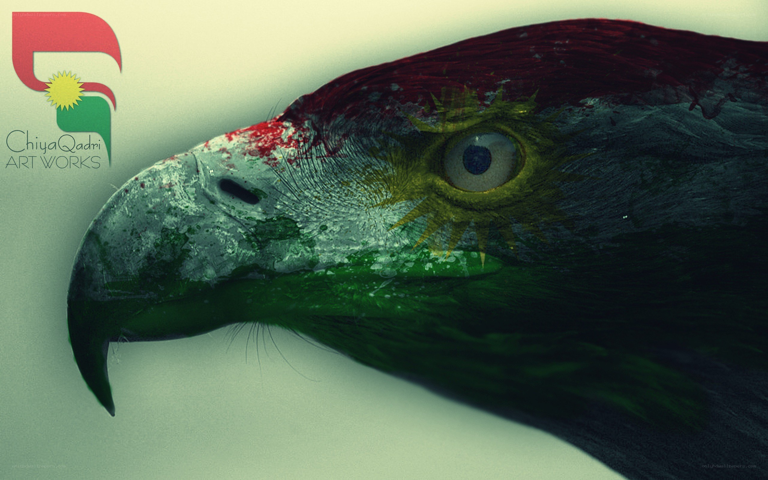 Kurdish Eagle Artwork