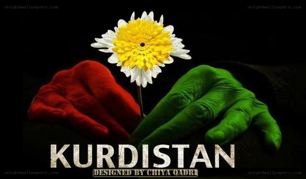 Kurdistan flag hands