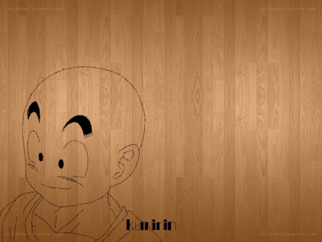 Kuririn character sketch
