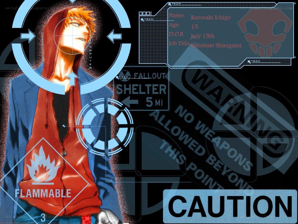 Kurosaki Ichigo character profile