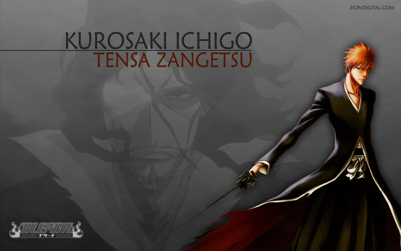 Kurosaki Ichigo in Tensa Zangetsu
