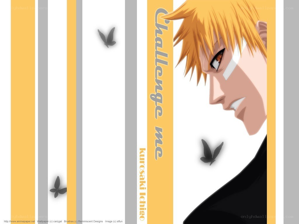Kurosaki Ichigo profile