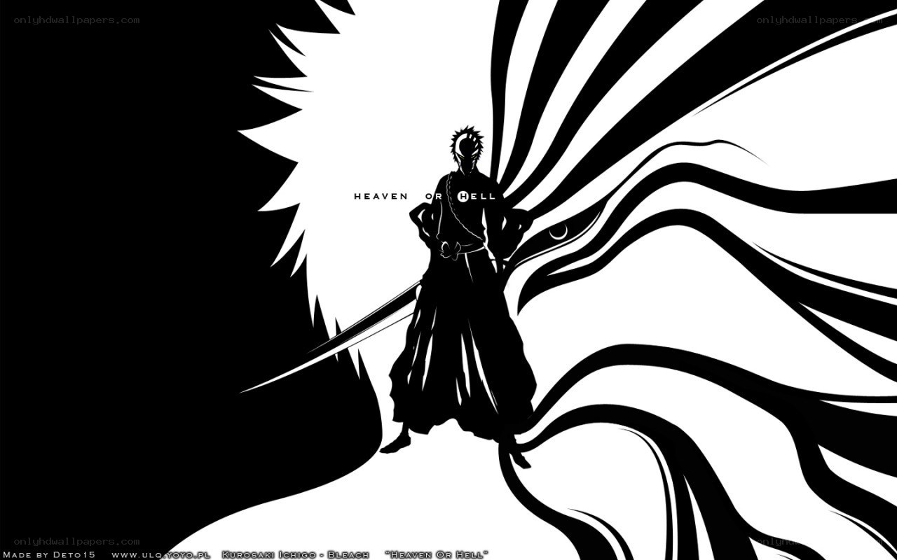 Kurosaki Ichigo silhouette
