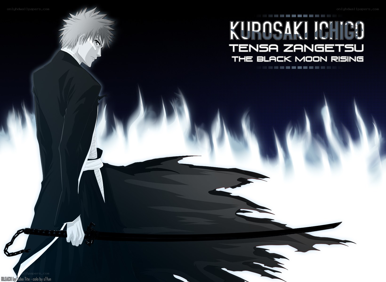 Kurosaki Ichigo with Zangetsu