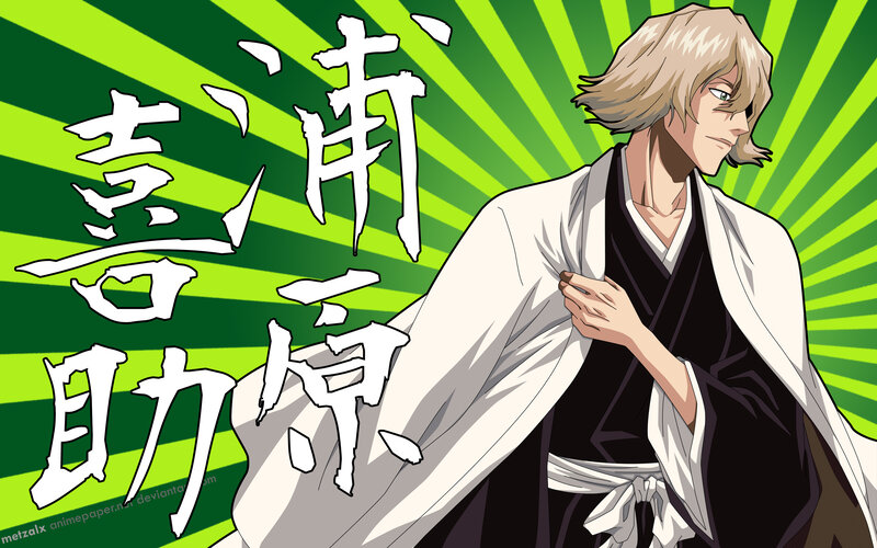 Kyoraku Shunsui character art