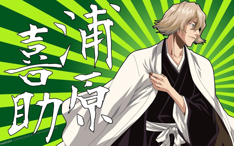 Kyoraku Shunsui character art