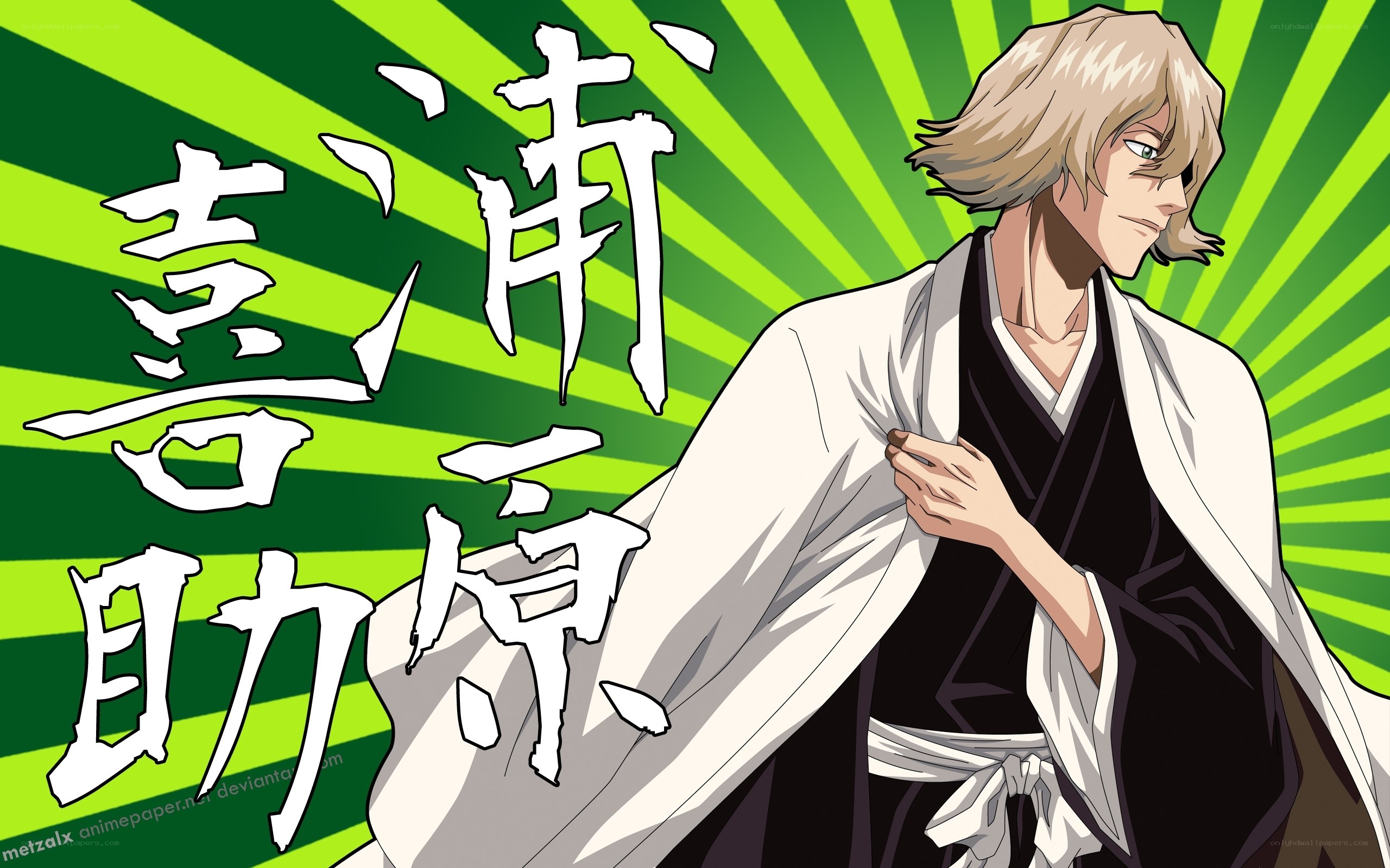 Kyoraku Shunsui character art