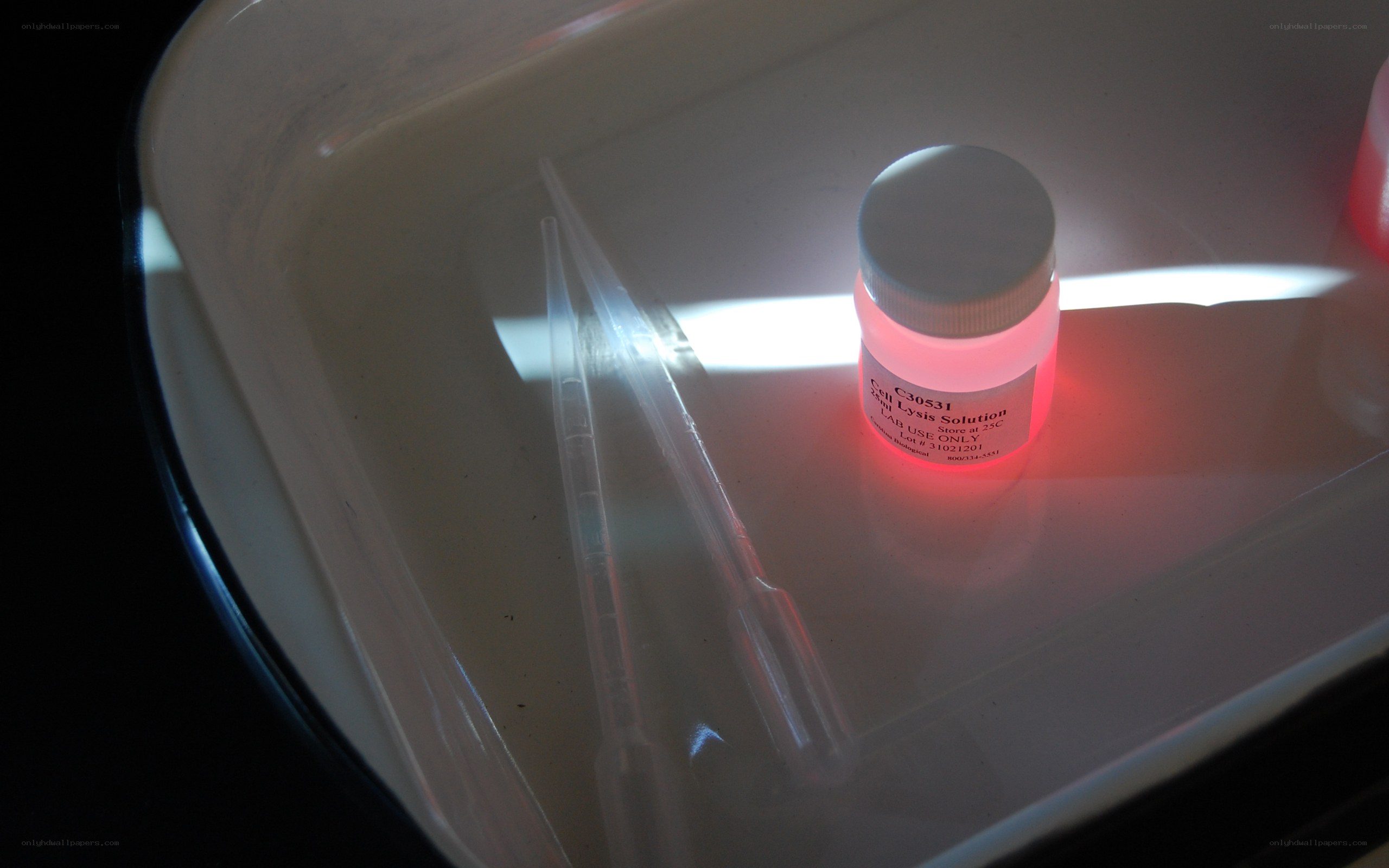 lab container with pipettes