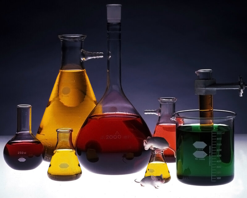 Laboratory glassware with mice