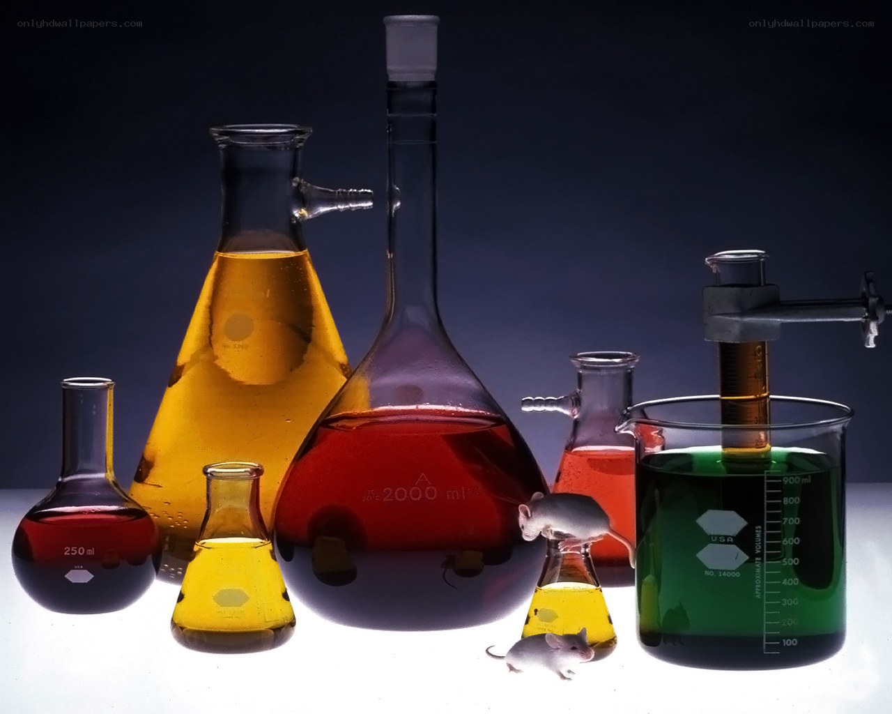 Laboratory glassware with mice