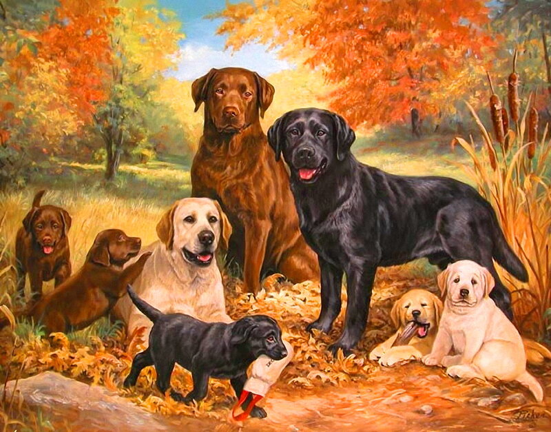 Labrador Dogs in Autumn