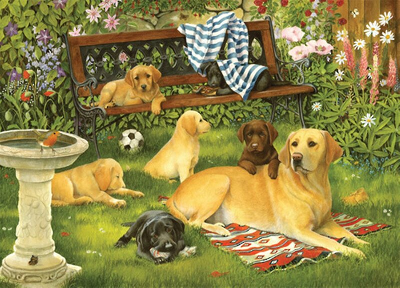 Labrador Puppies in Garden — Green