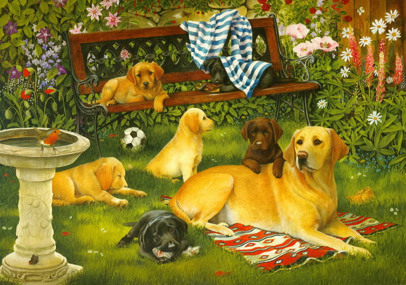 Labrador Puppies in Garden
