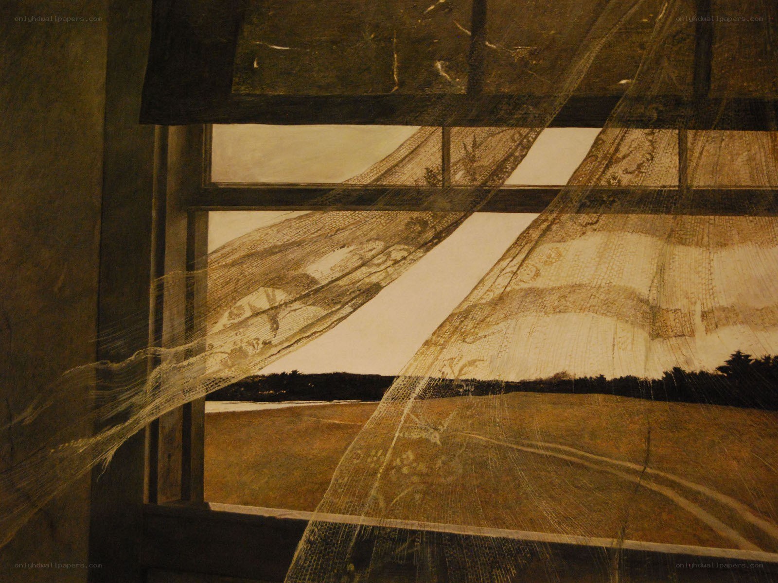 Lace curtain at window