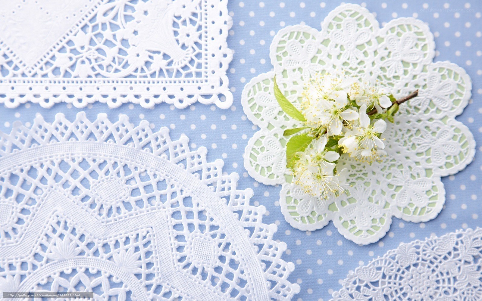 Lace doilies with flowers