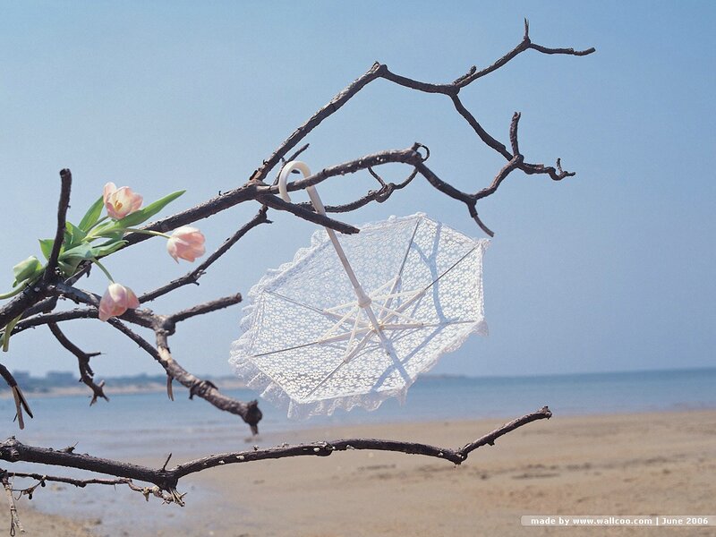 Lace Parasol on Branch