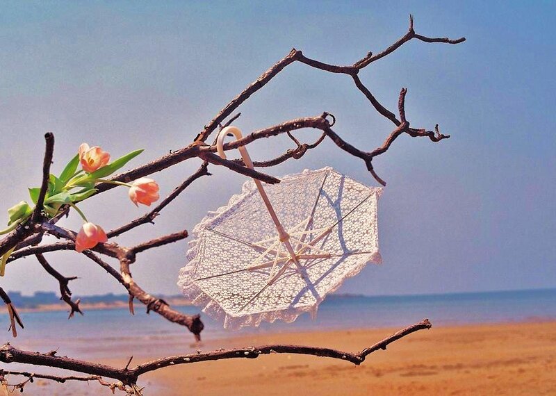 Lace umbrella on a beach branch