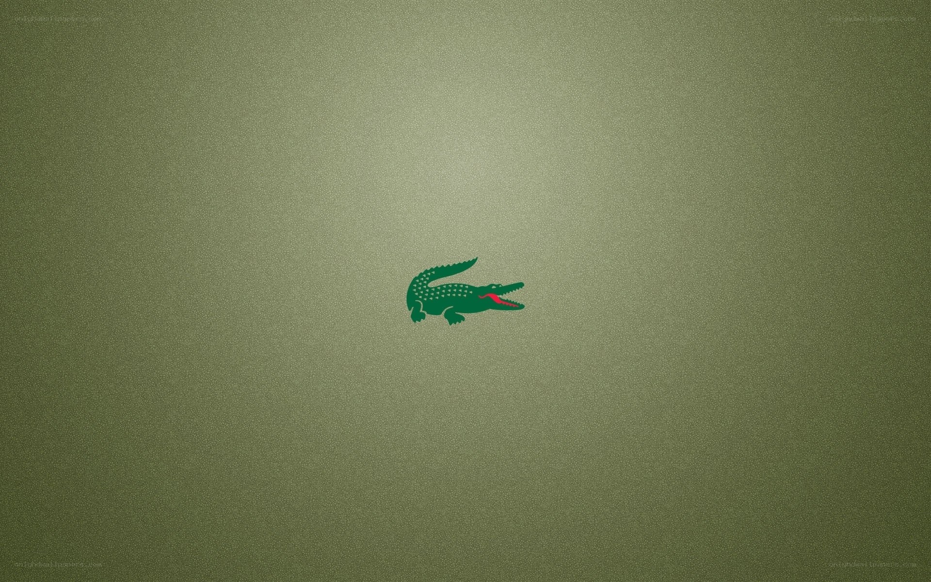 Lacoste crocodile logo