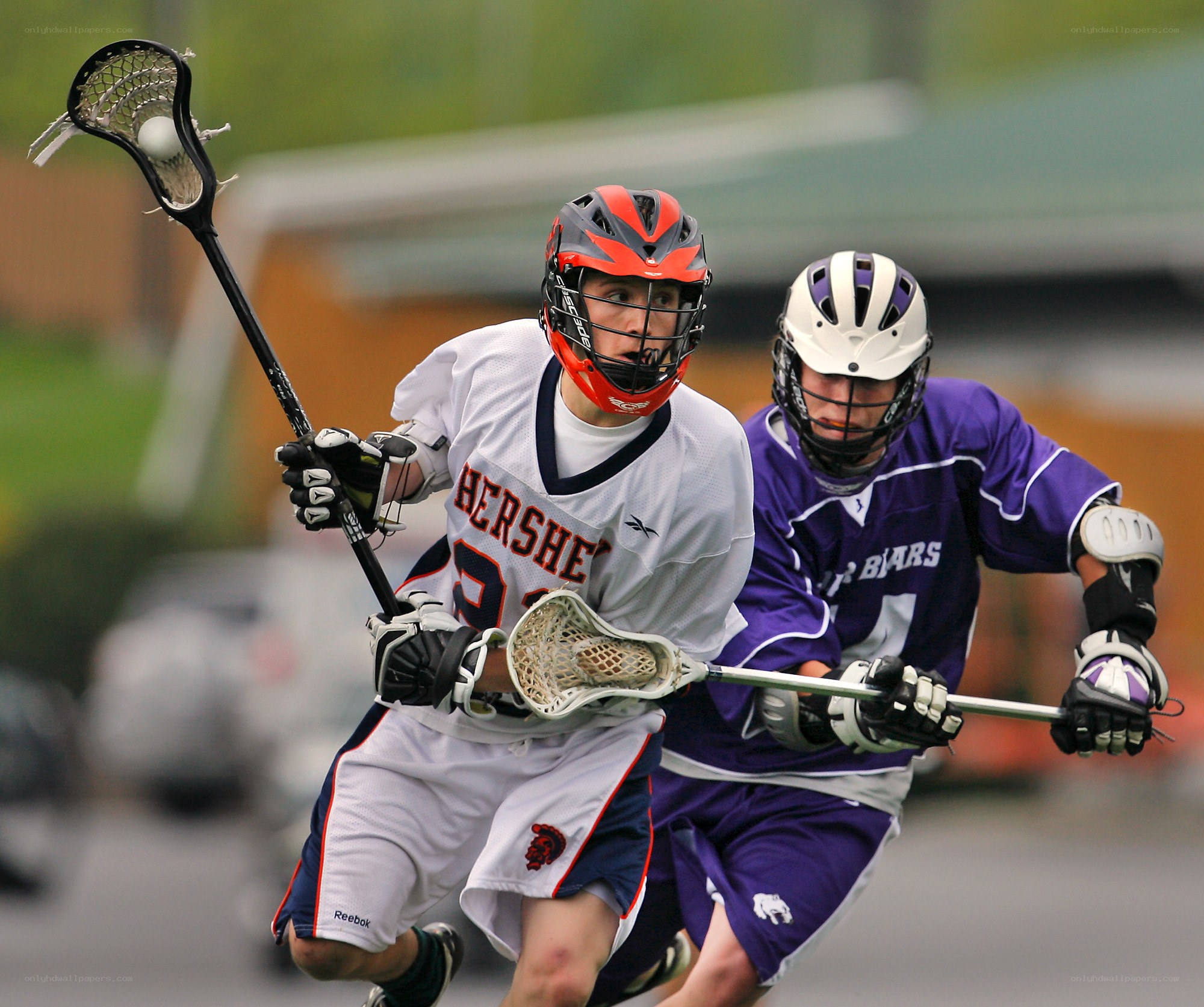Lacrosse players in action
