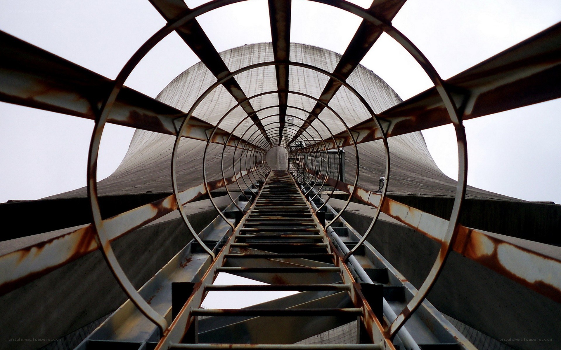 ladder inside cooling tower
