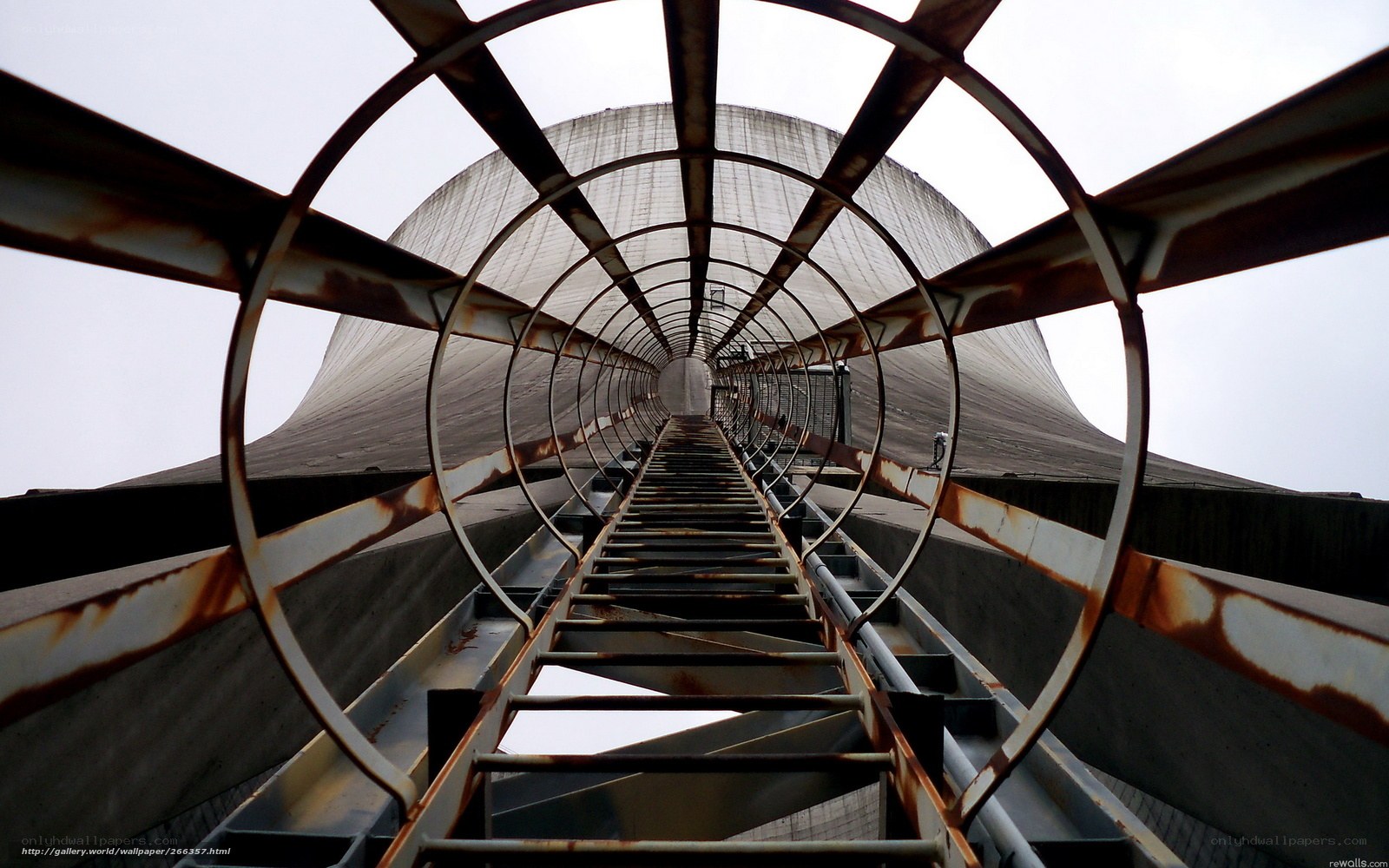 ladder inside cooling tower